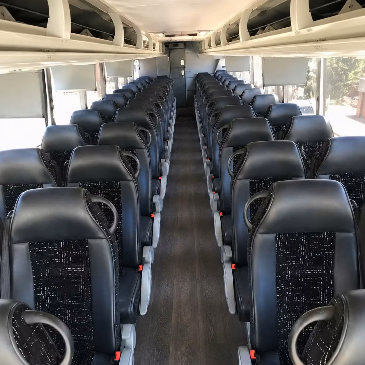 charter buses for san ramon field trips to the east bay s top nature and wildlife destinations